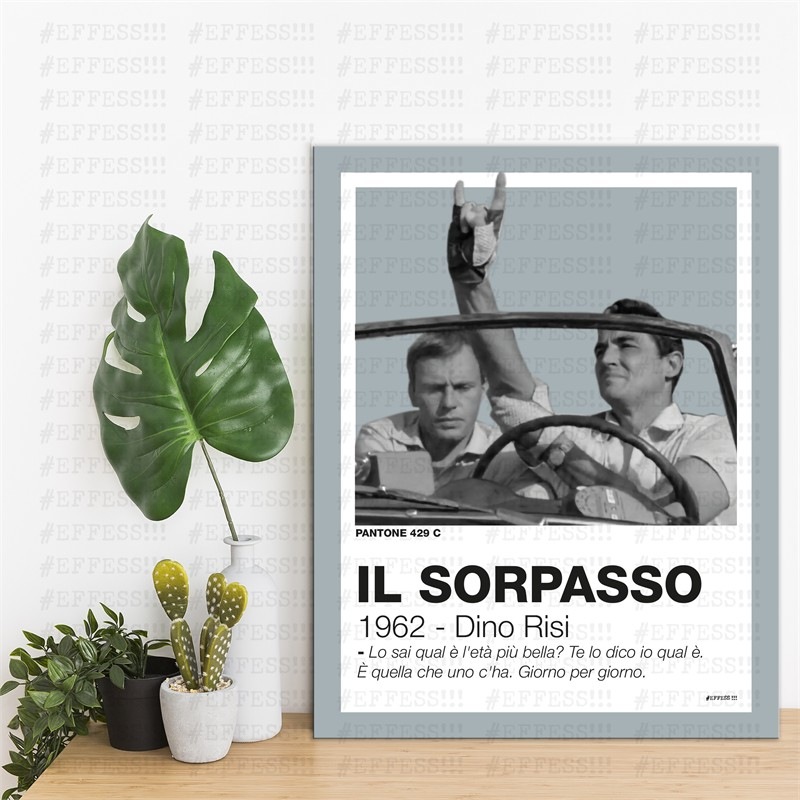 Quadretto - IL SORPASSO - PANTONE 429C