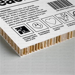 Quadretto Arte e Mestieri - SINGING TEACHER