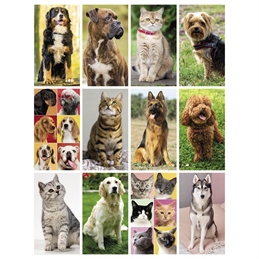 Calendario Cani e Gatti personalizzato