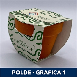Polde_Grafica1