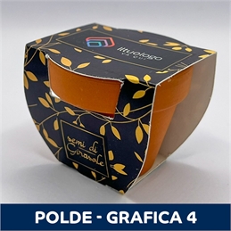 Polde_Grafica4