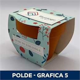 Polde_Grafica5