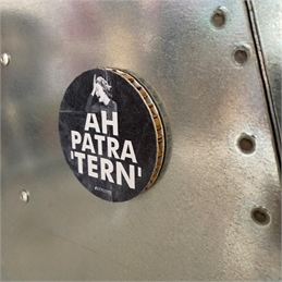 Calamite_Ah Patra 'tern