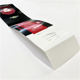 Cavallotti chiudi sacchetto 9,9x19cm