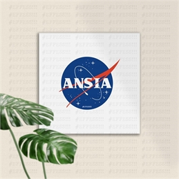 Quadretto - Loghi Comuni - ANSIA