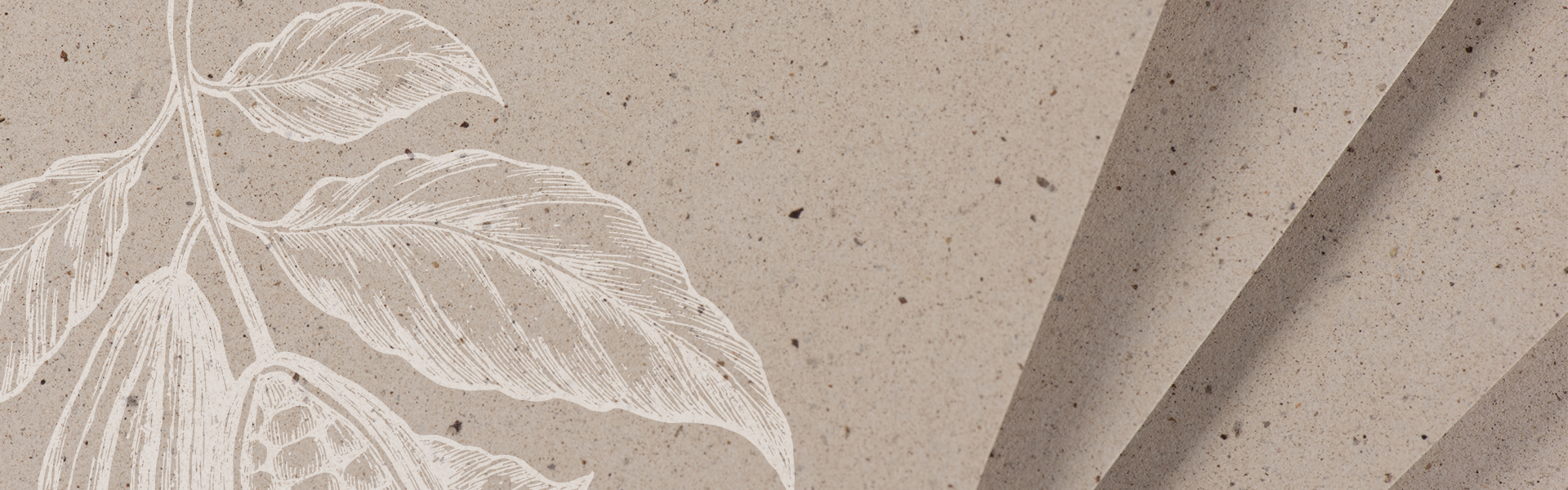 Crush-Cacao-banner.jpg