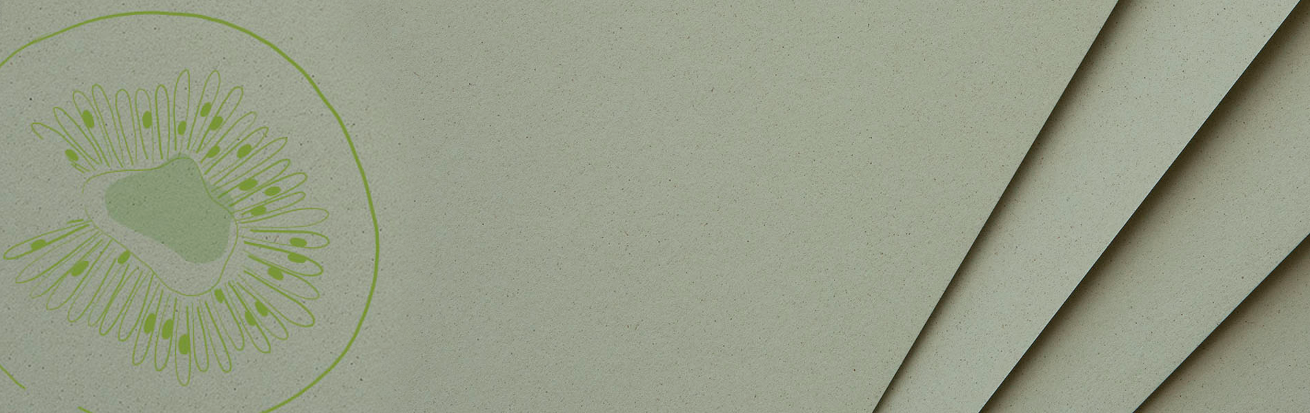 banner kiwi.png