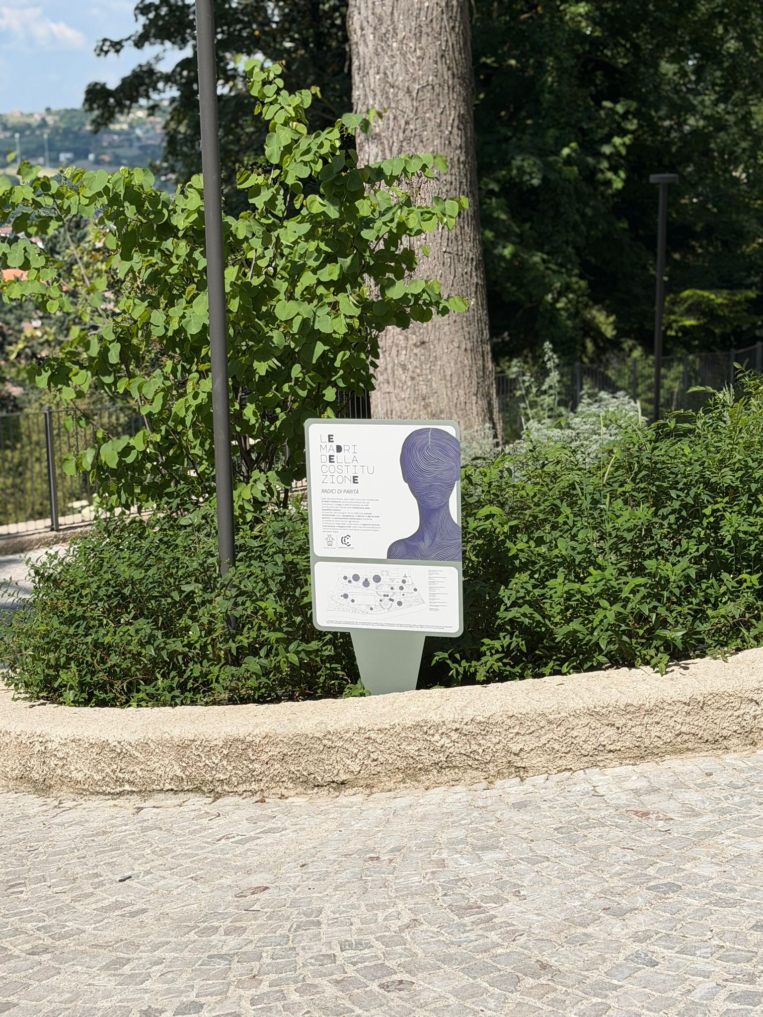 WhatsApp Image 2026-05-27 at 16-08-36.jpeg