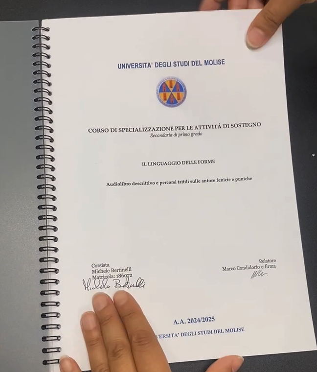 TESI11.png