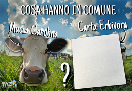 Cosa hanno in comune la mucca Carolina e la nuova carta erbivora?